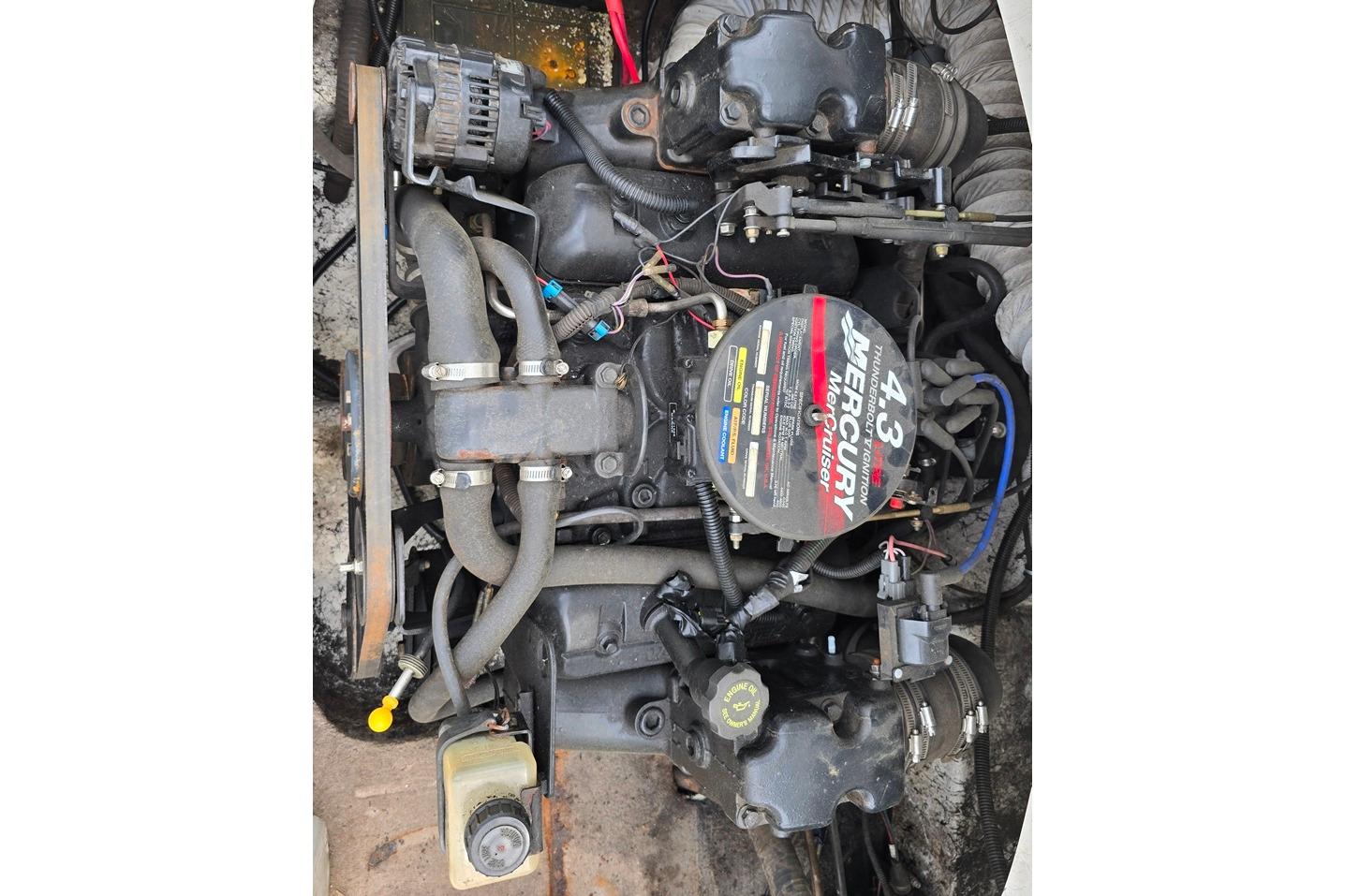 Engine of a 2003 Caravelle 187 Bow Rider with Mercury MerCruiser components.