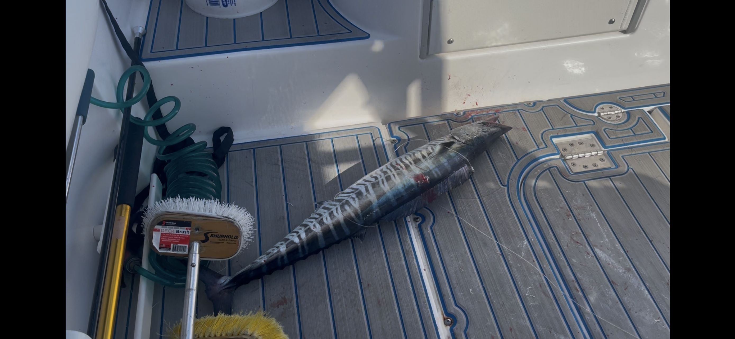2017 Everglades 325 Center Console - 49