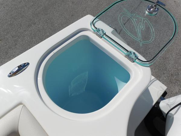 Livewell on 2024 Sailfish 242 CC boat with open glass lid.