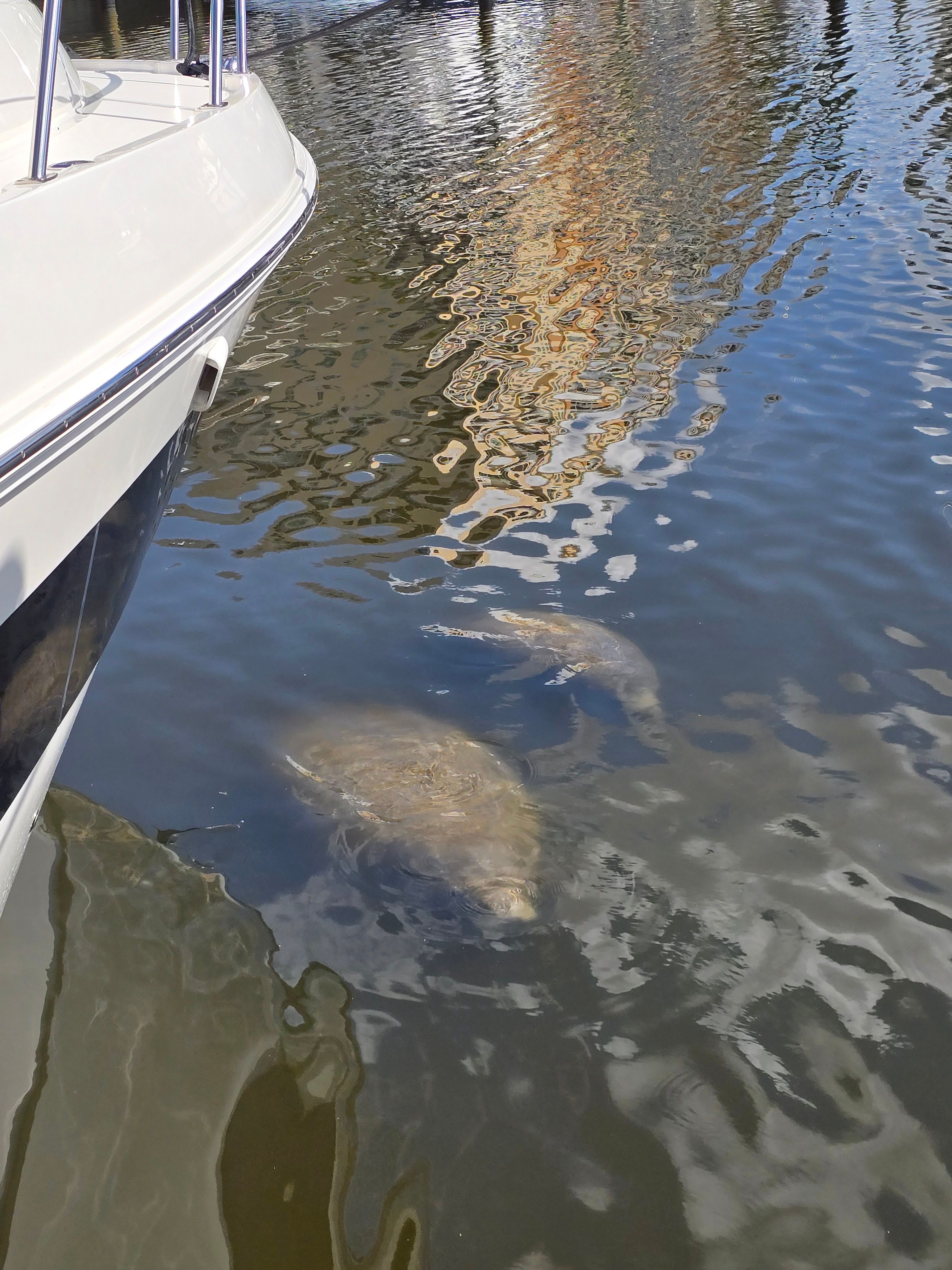 2004 Bayliner 305SB - 16