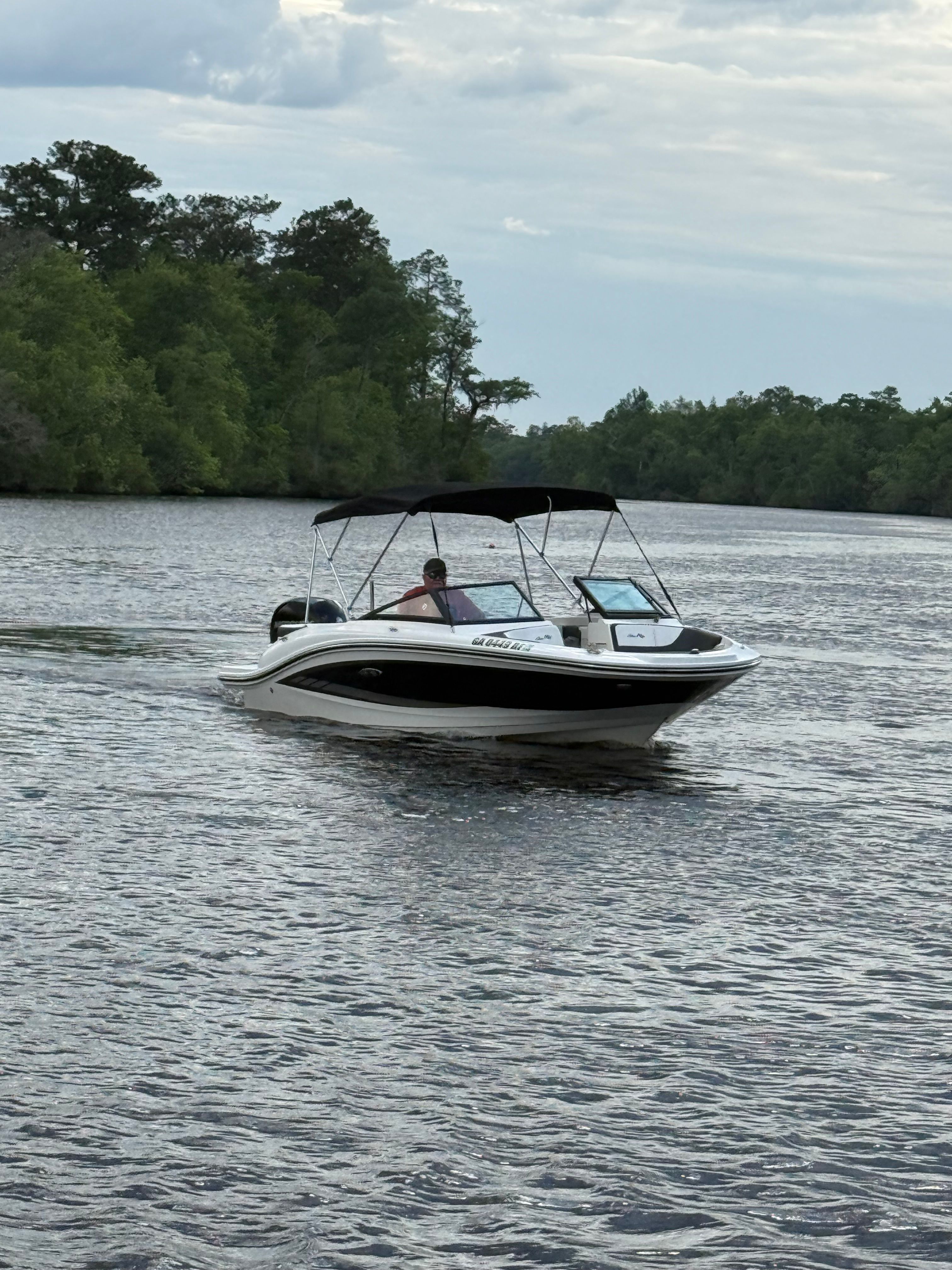 2017 Sea Ray SPX 190 Outboard - 2