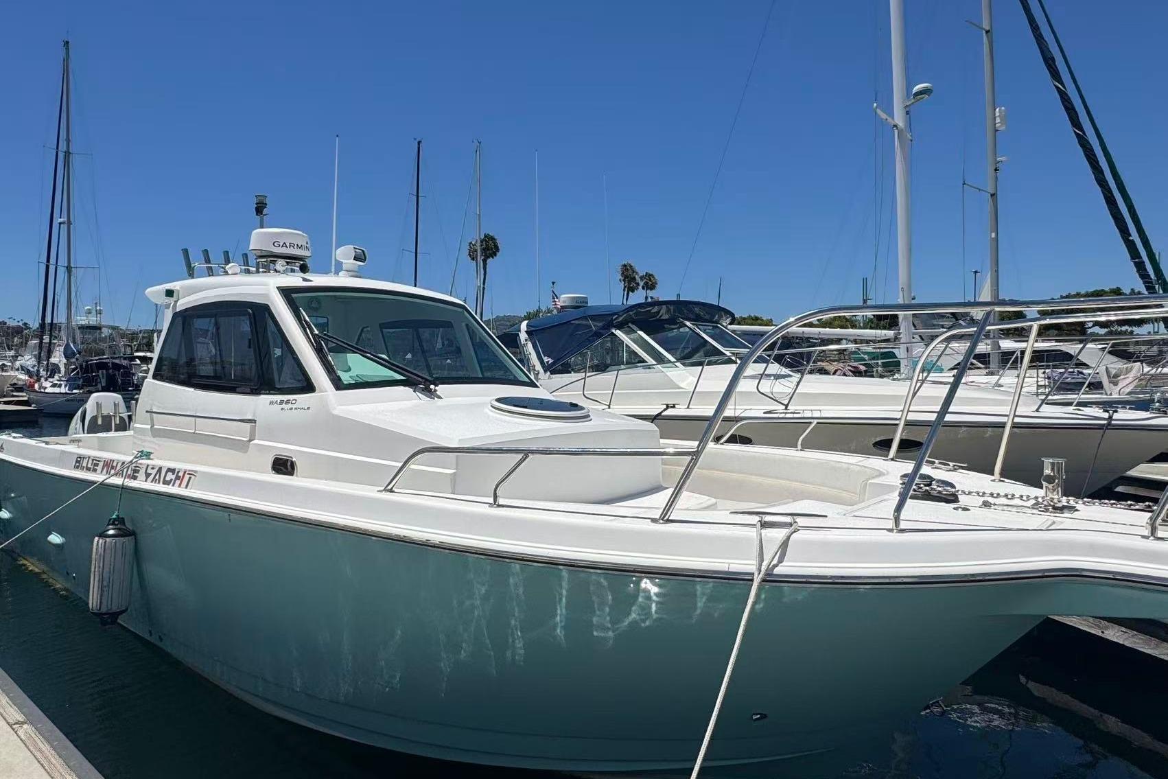2024 Bluewhale 3600 WA