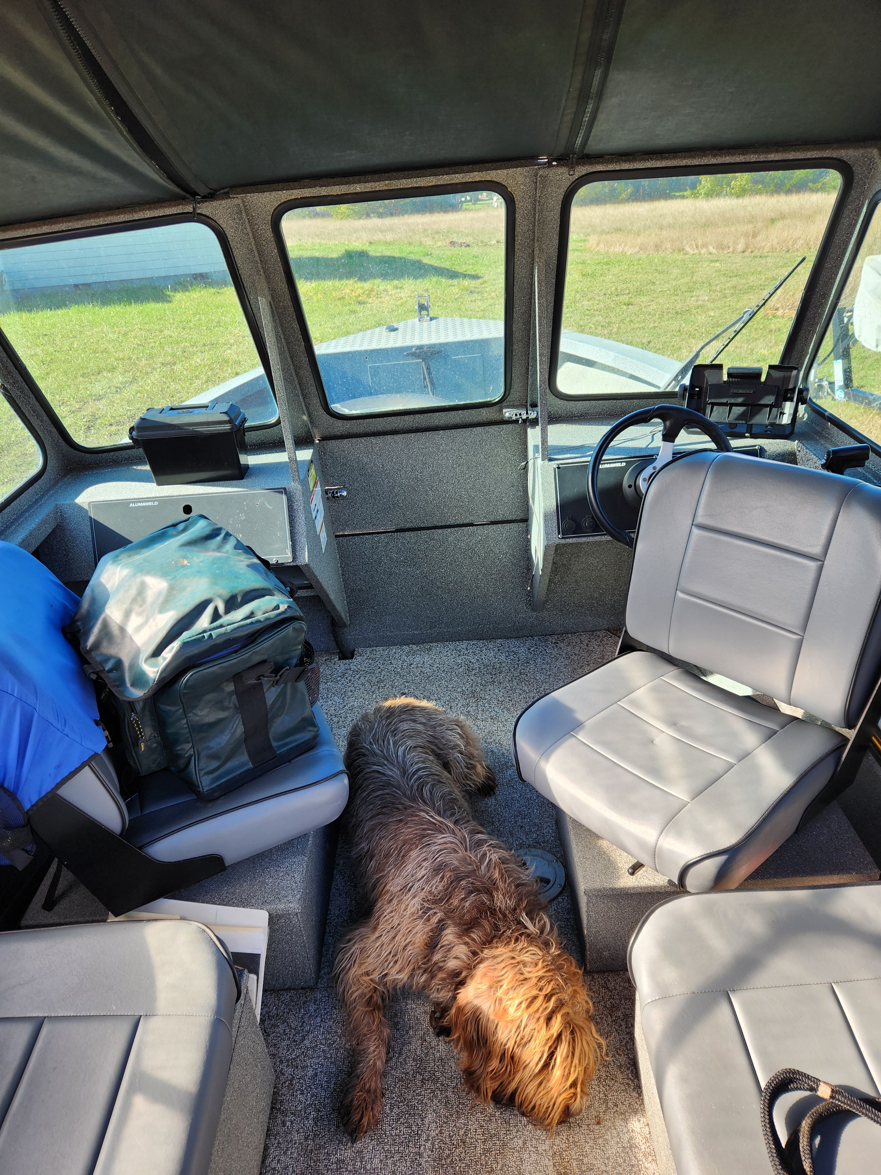 Interior of Alumaweld Talon 18 boat with dog and gear.