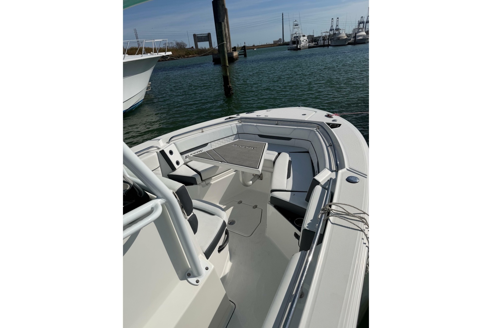 2021 Blackfin — - Image 10