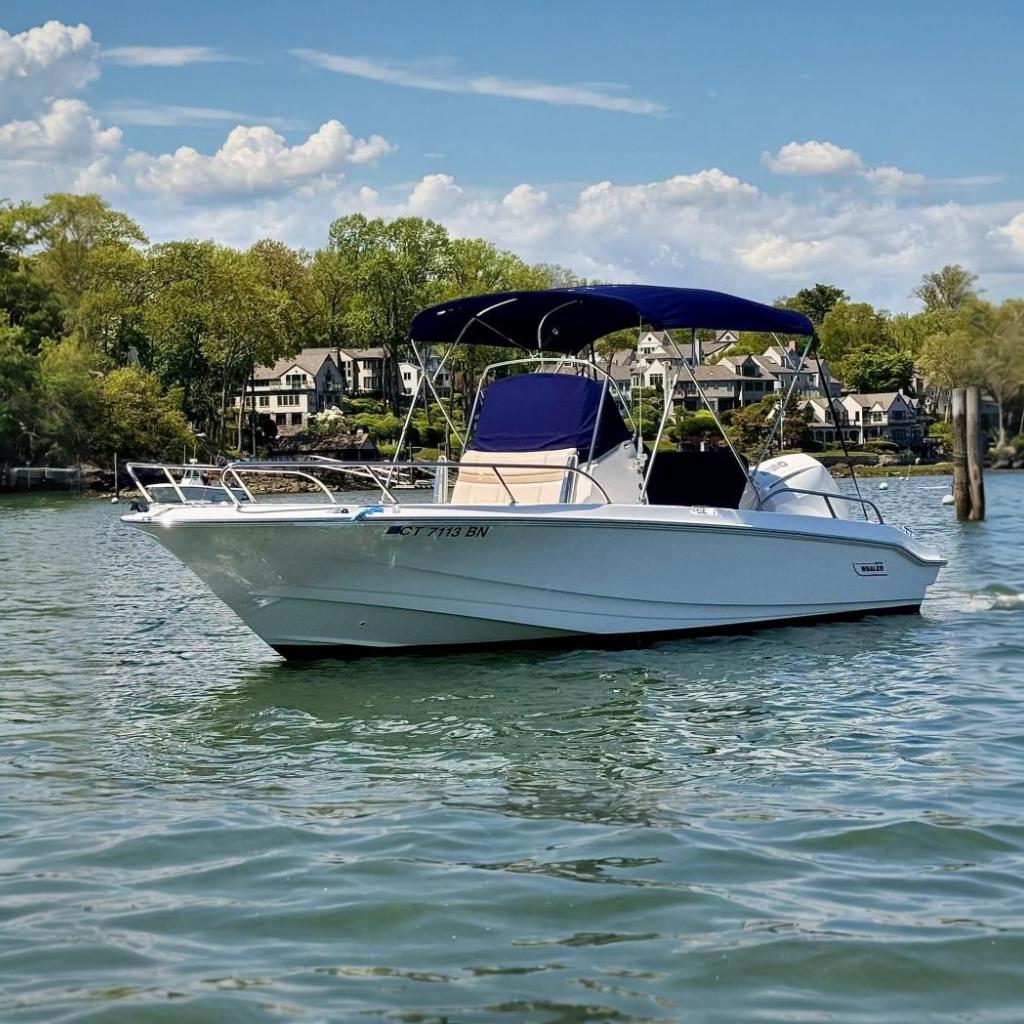 2022 Boston Whaler 220 Dauntless