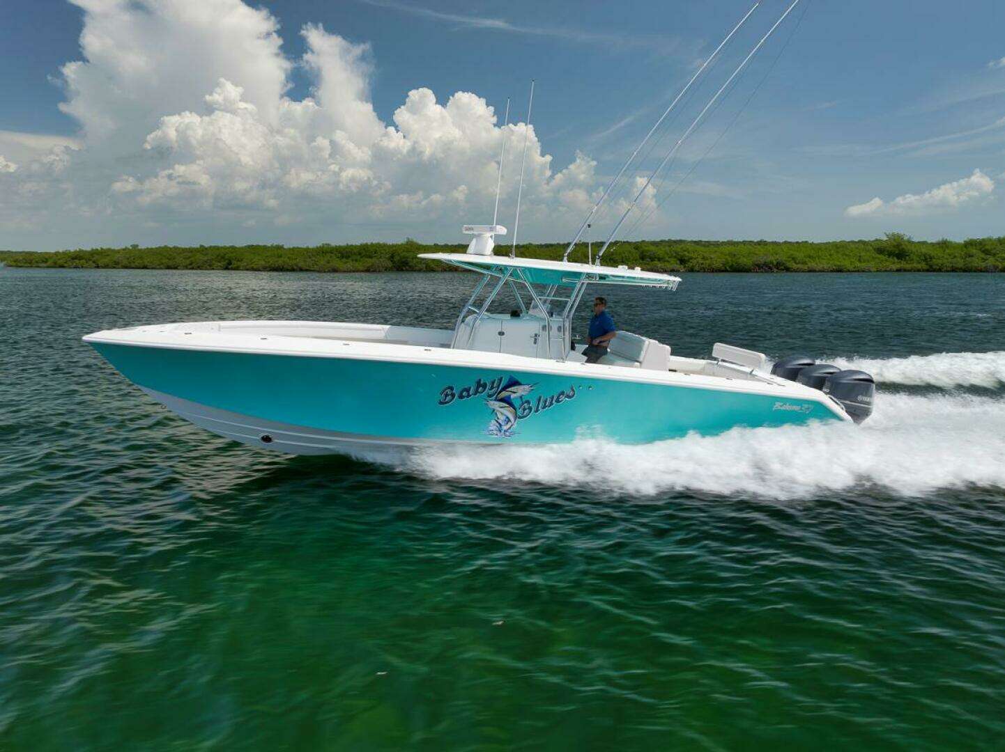 2013 Bahama — - Image 3