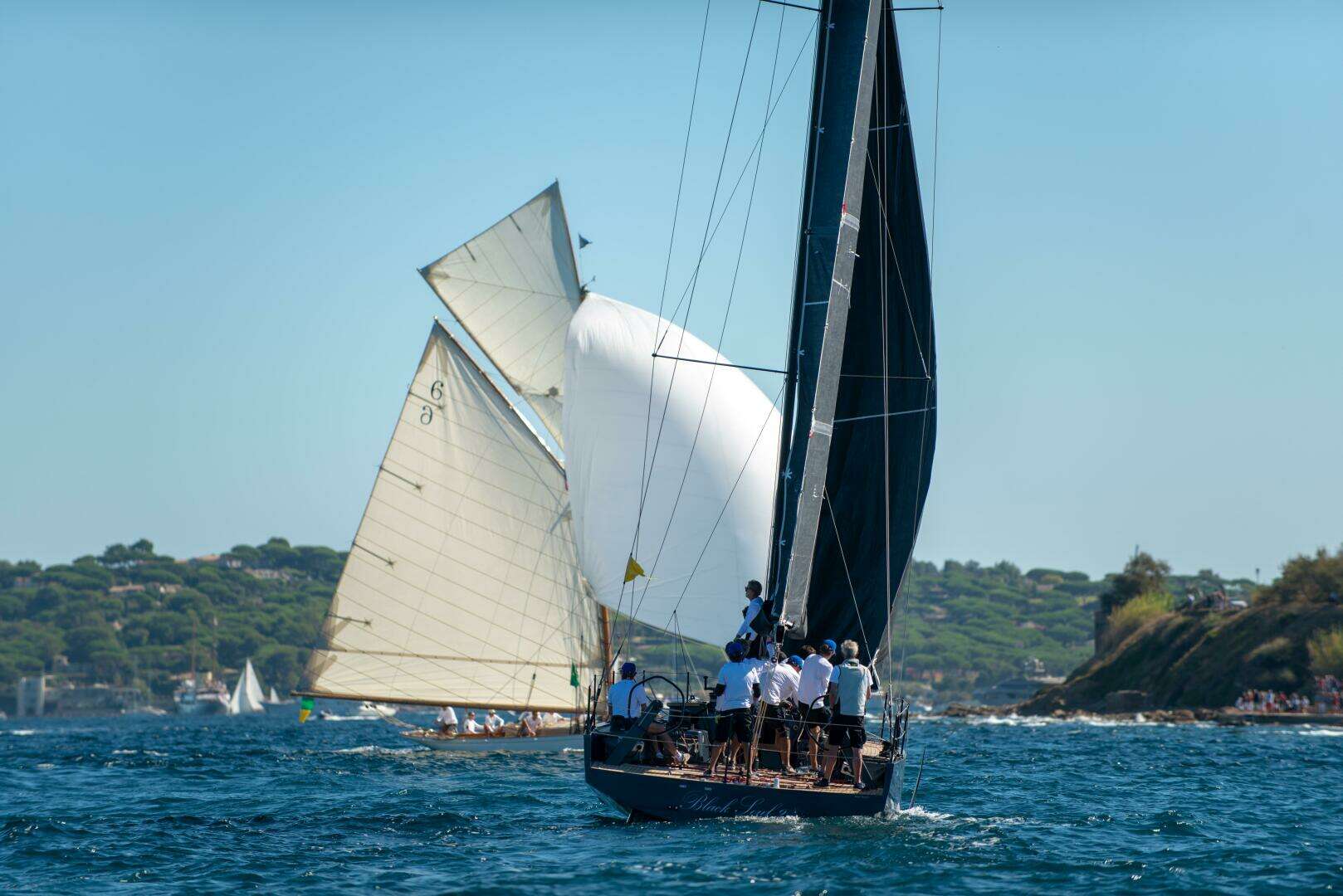 2026 Black Pepper Code 1 - Image 17