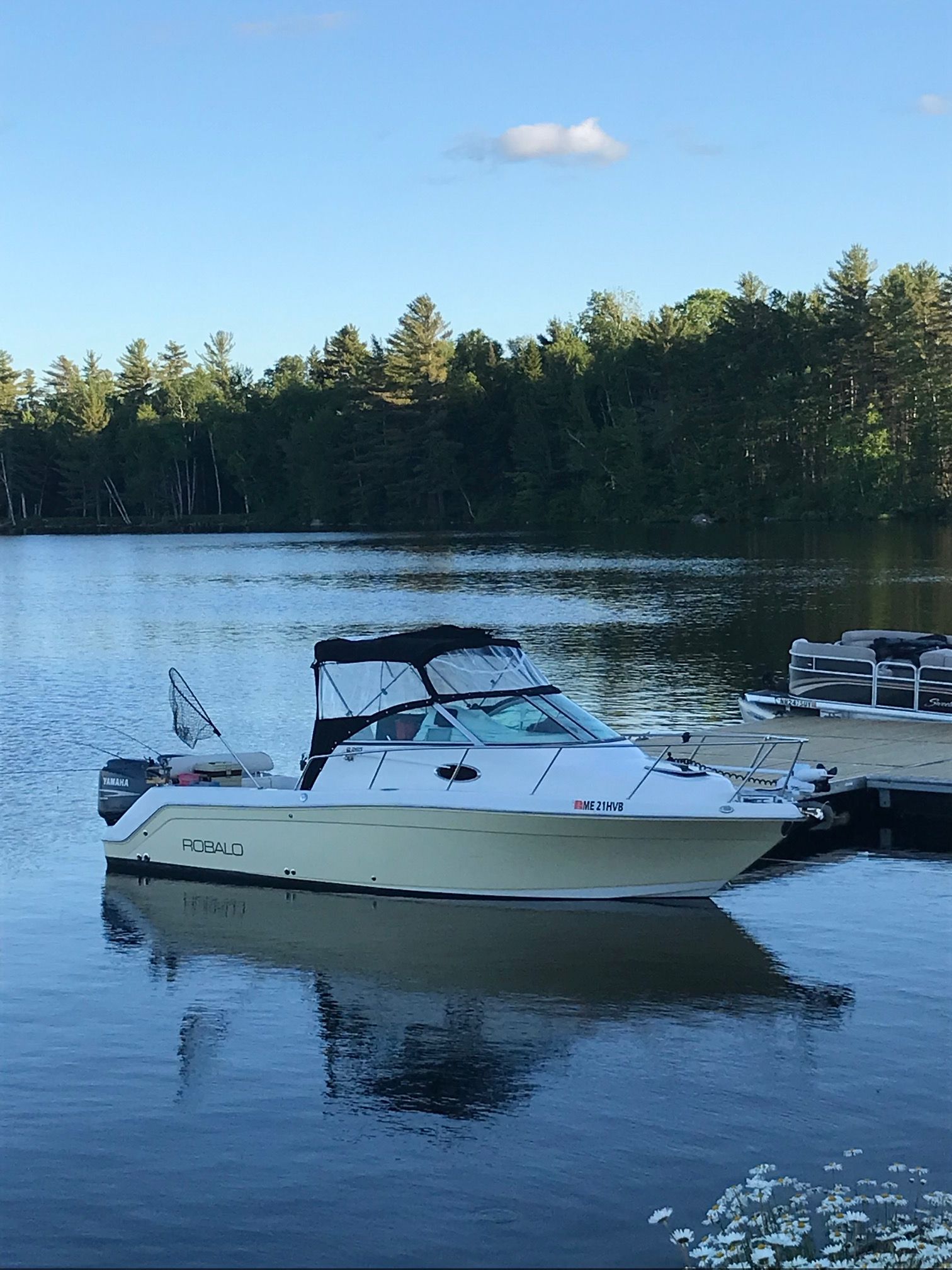 2006 Robalo R265 Walkaround