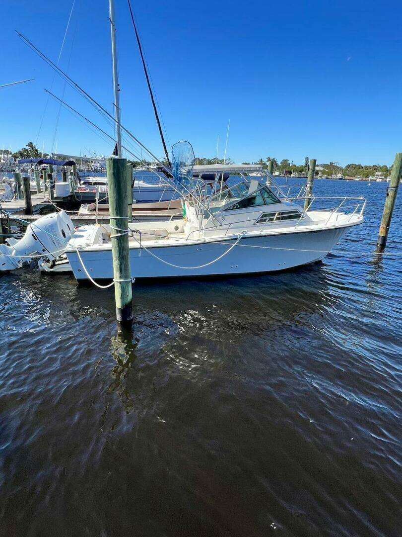 1988 Grady-White 25 SAILFISH - Image 9