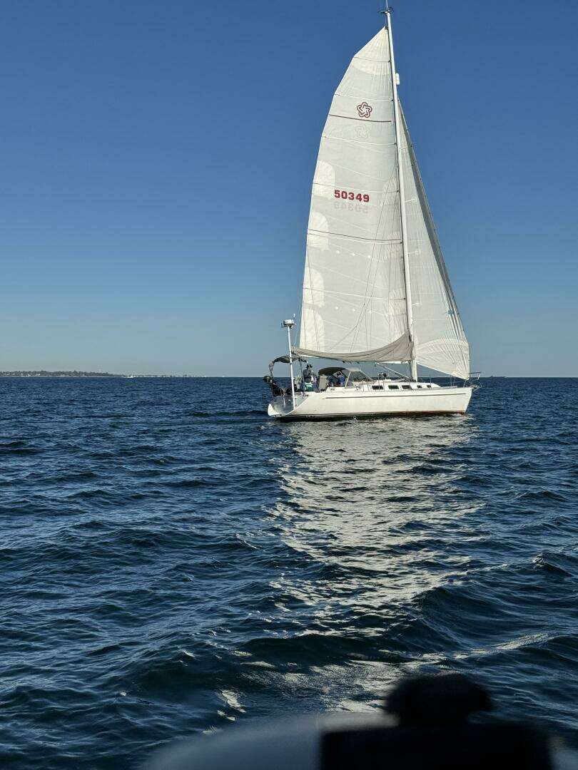 1995 Freedom 40/40 - Image 7