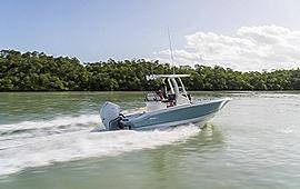 2025 Boston Whaler 250 Dauntless - 23