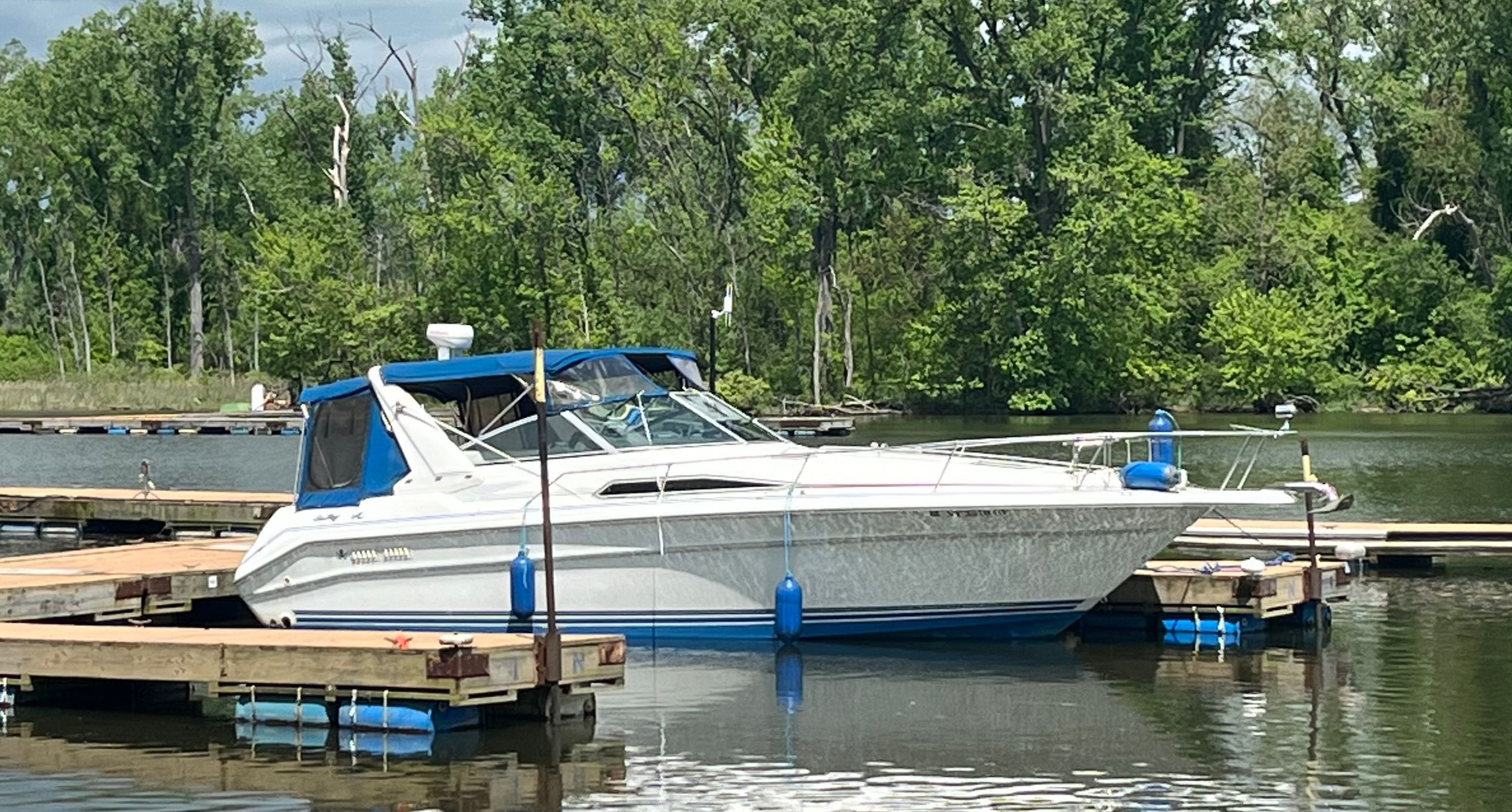 1991 Sea Ray Sundancer 310