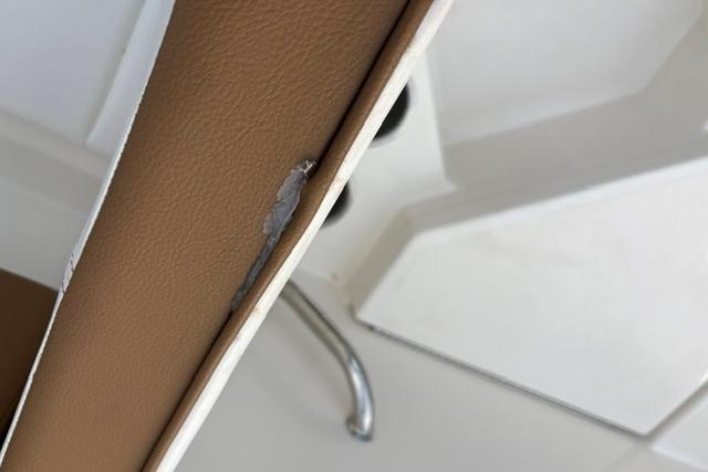 2017 Searay SPX210 boat seat with visible upholstery damage.