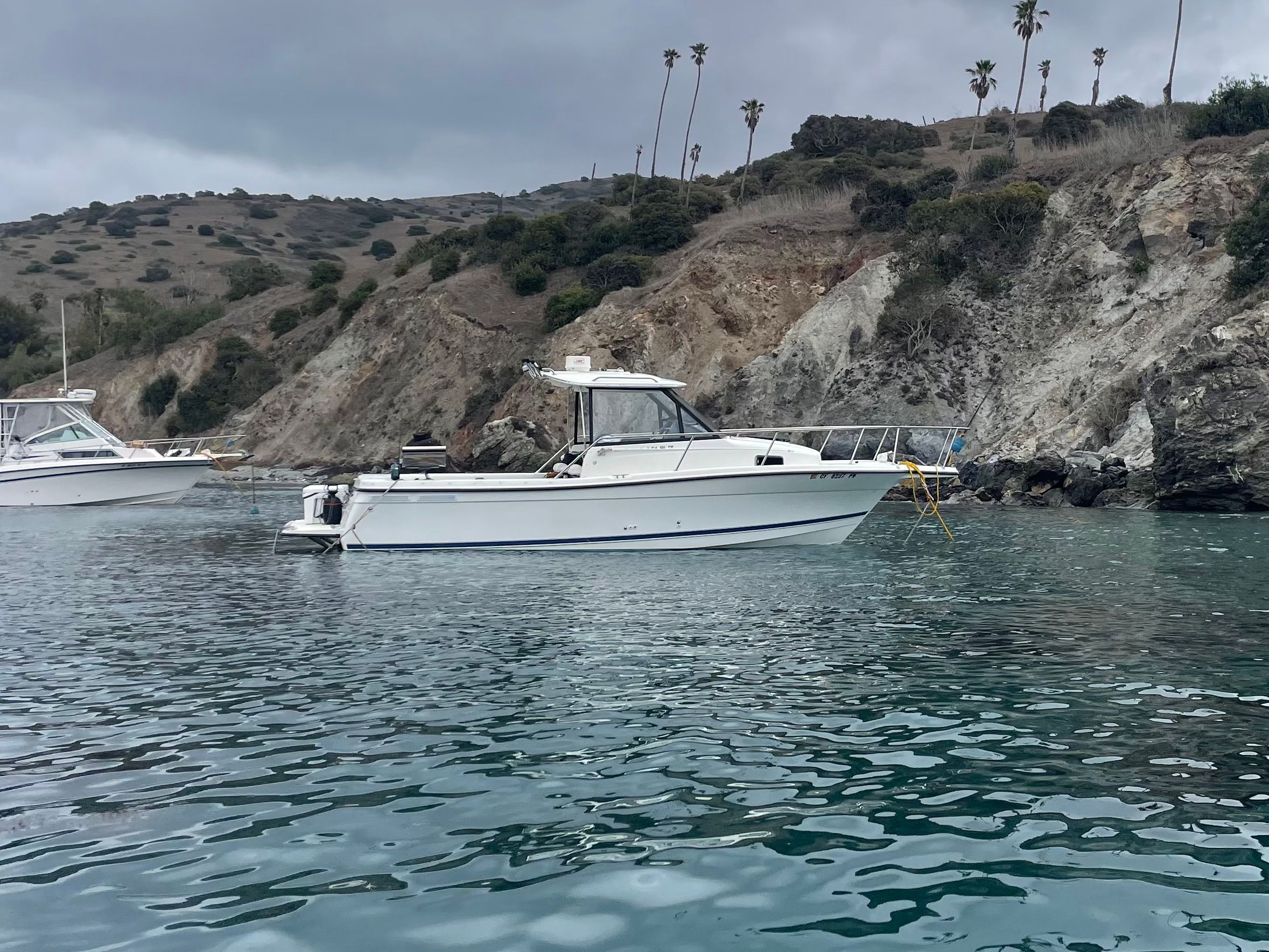 1999 Bayliner 2352 Trophy