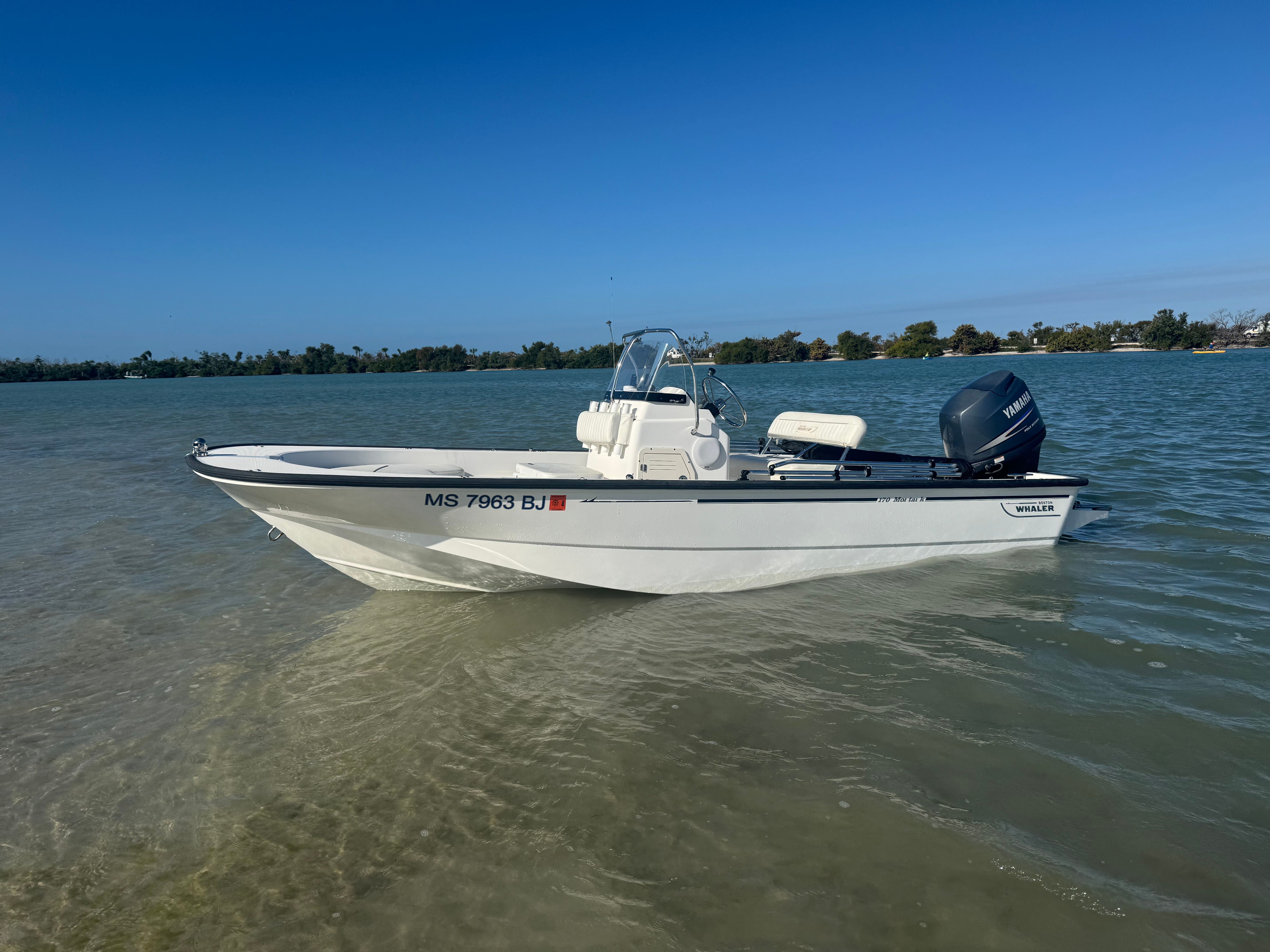 2010 Boston Whaler 170 Montauk - 2