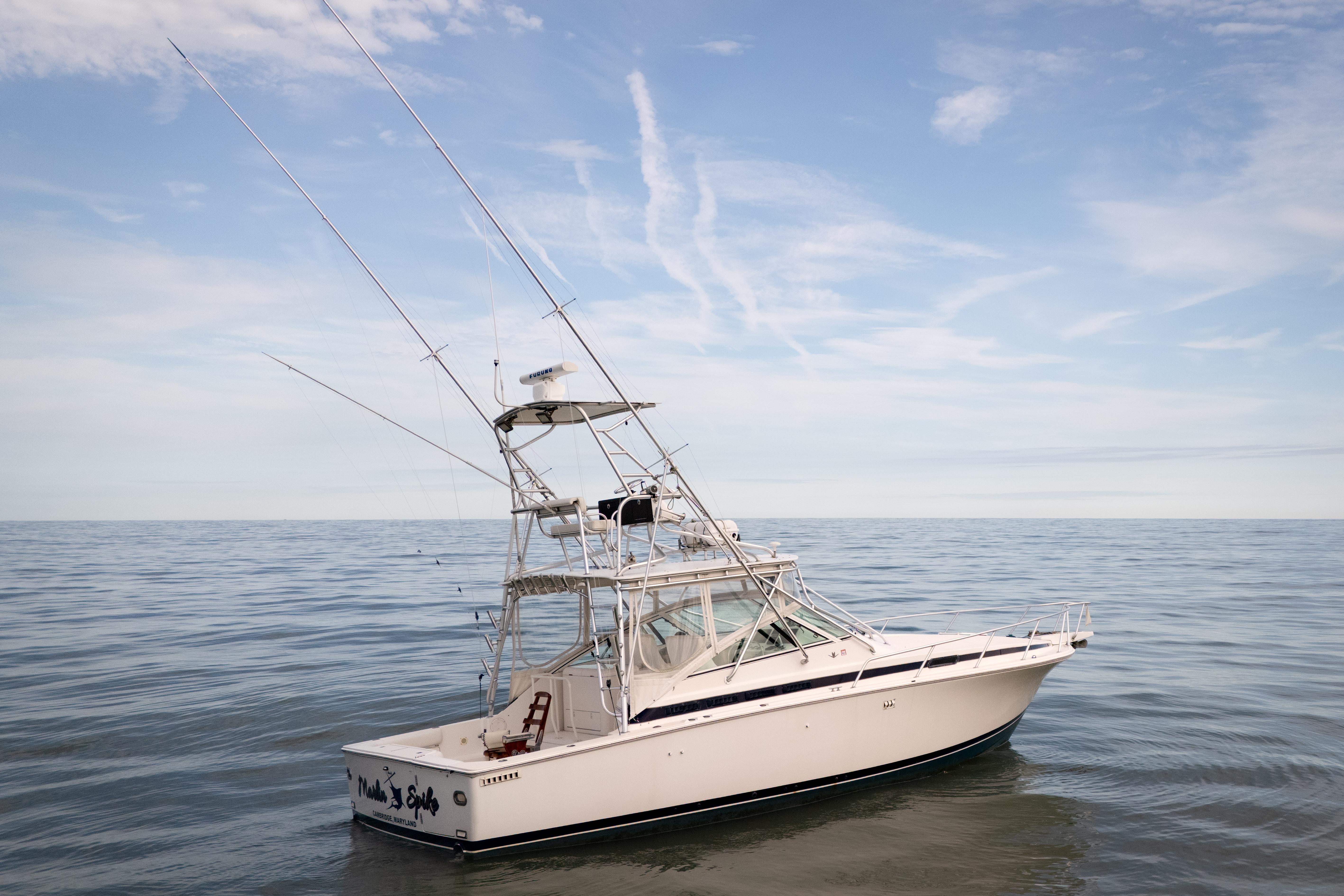 1998 Bertram 36 Moppie
