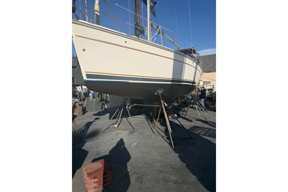 NEW April 2026 Bottom Paint