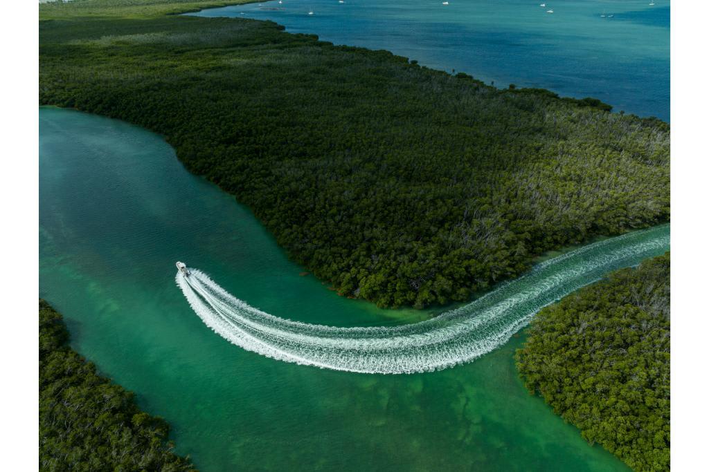 2024 Boston Whaler 280 Dauntless - 114