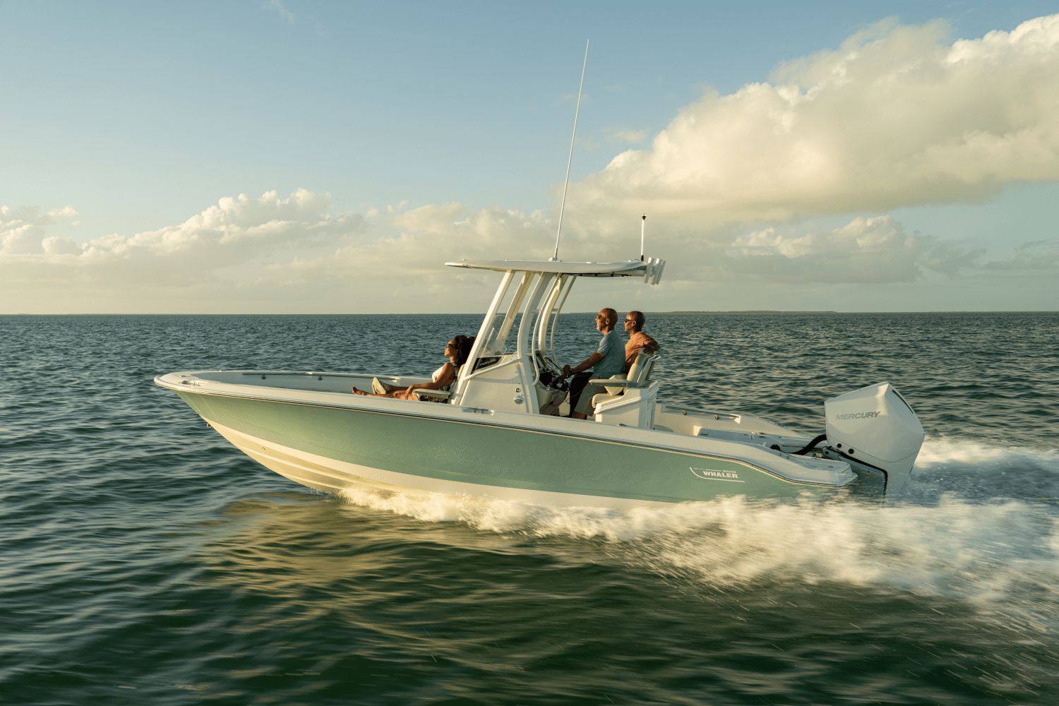 2026 Boston Whaler 250 Dauntless - 36