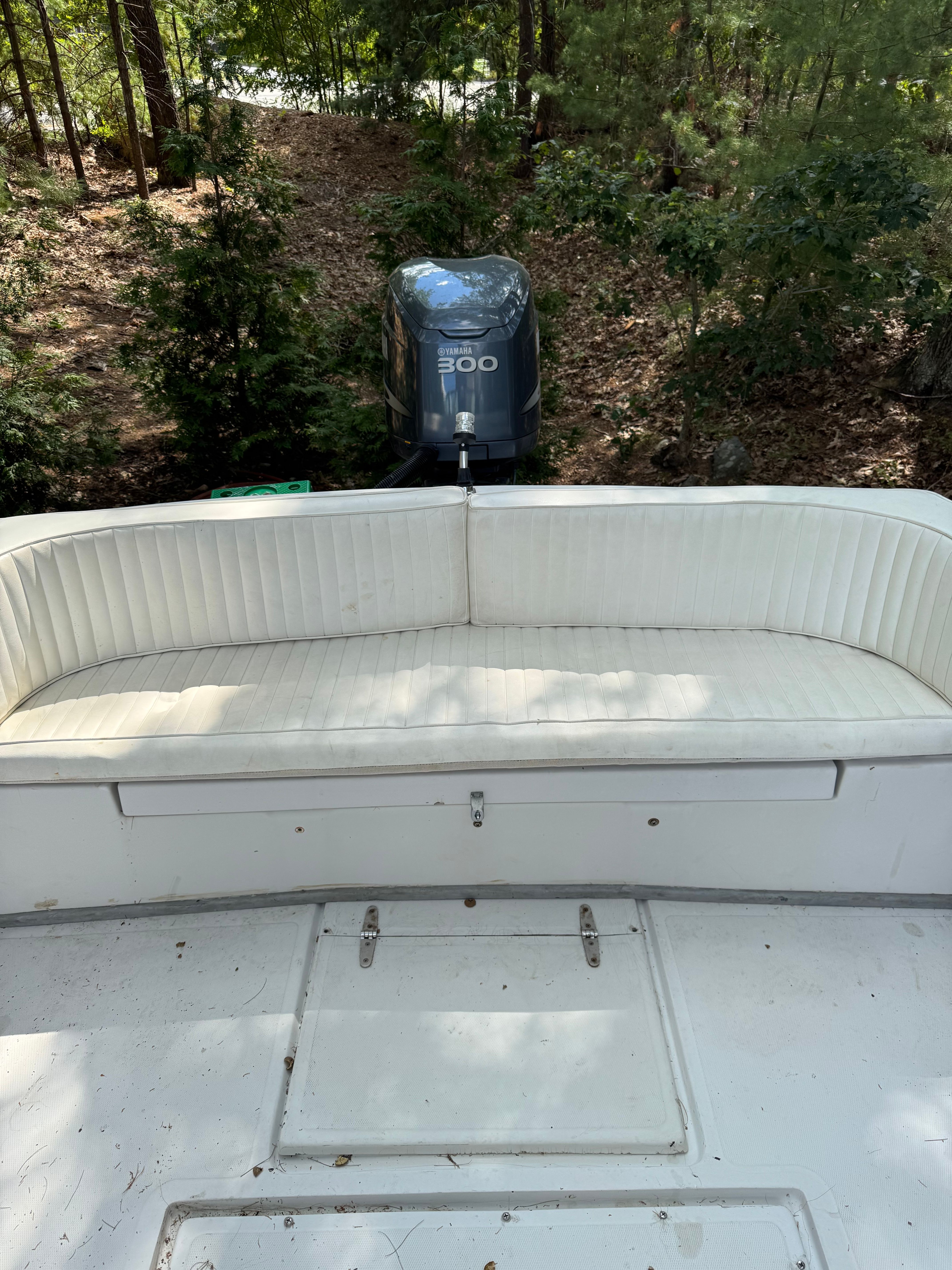 1989 Limestone 24 Runabout - 6