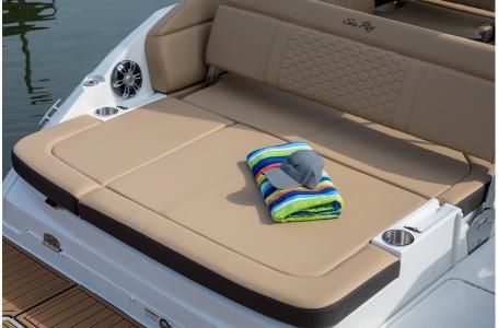 2019 Sea Ray SDX 250 - 17
