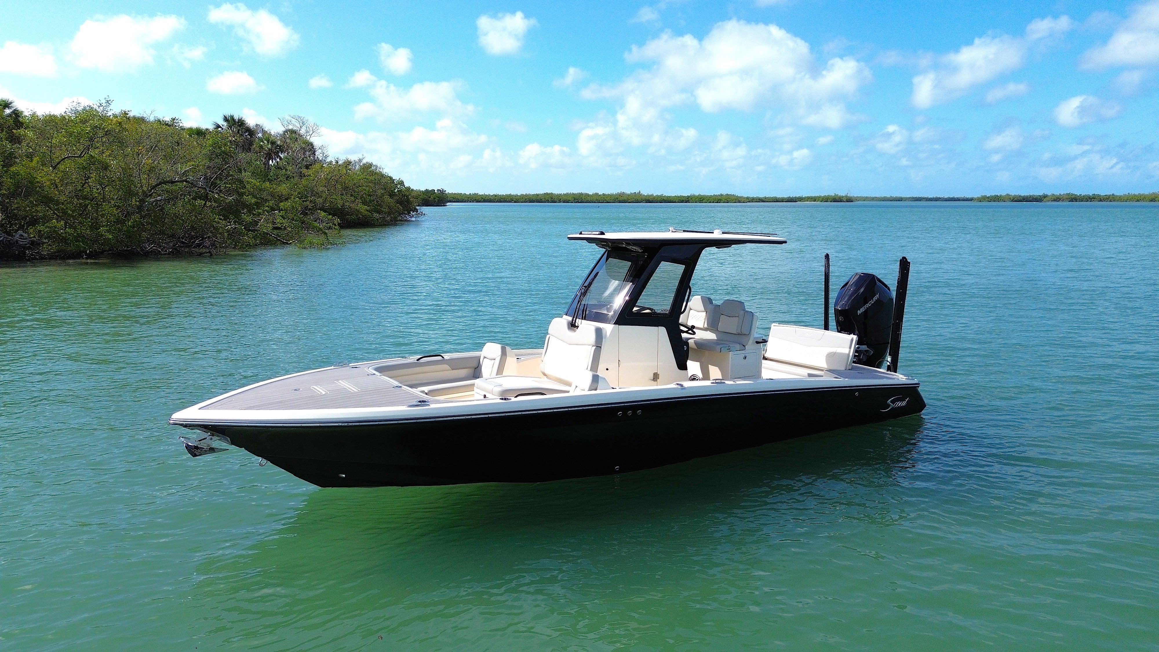 2024 Scout 281 XSS