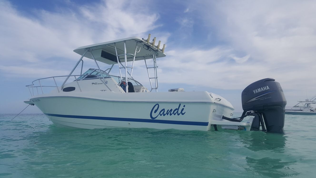 2000 Wellcraft 24 Walkaround