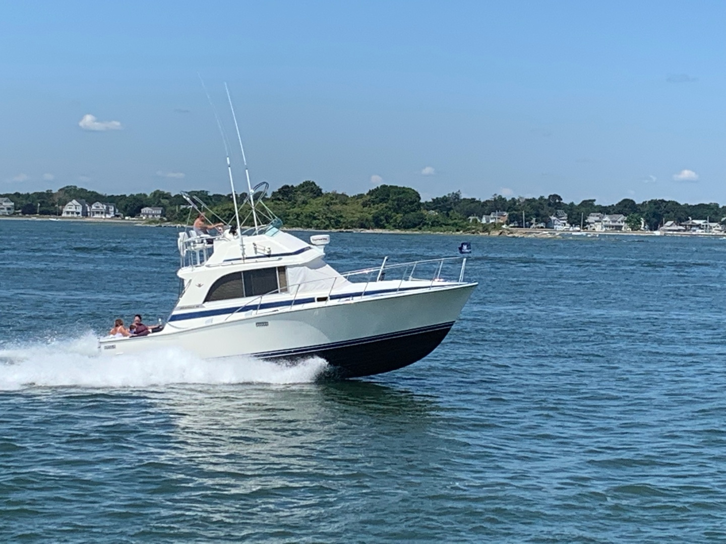 1985 Bertram Flybridge Cruiser - Image 2
