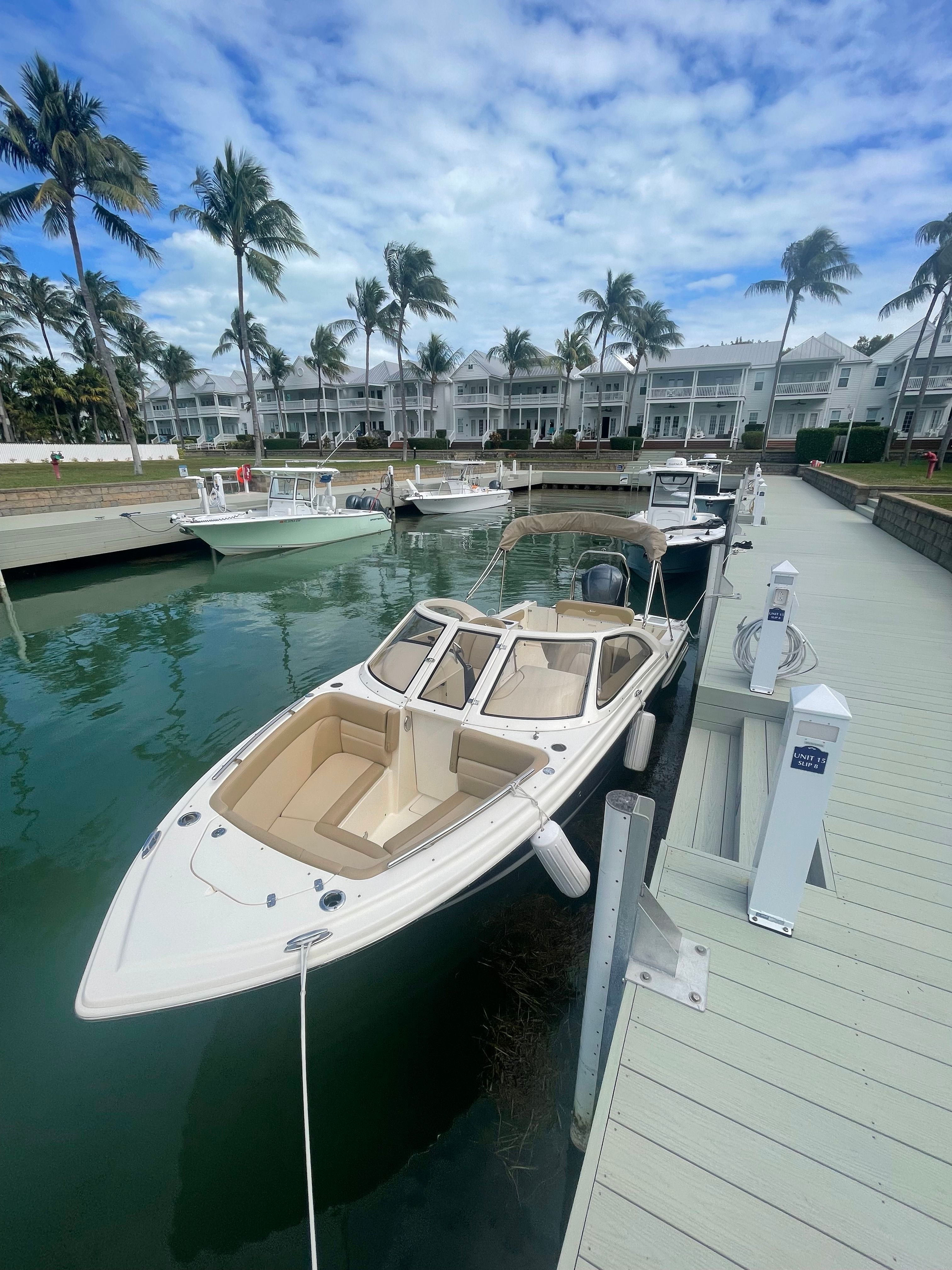 A 2020 Scout 235 Dorado docked, with palm trees and buildings in the background.