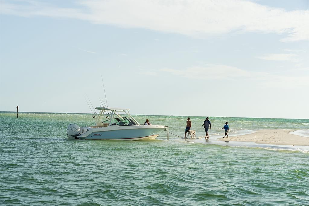 2023-Boston-Whaler-240-Vantage-MarineMax