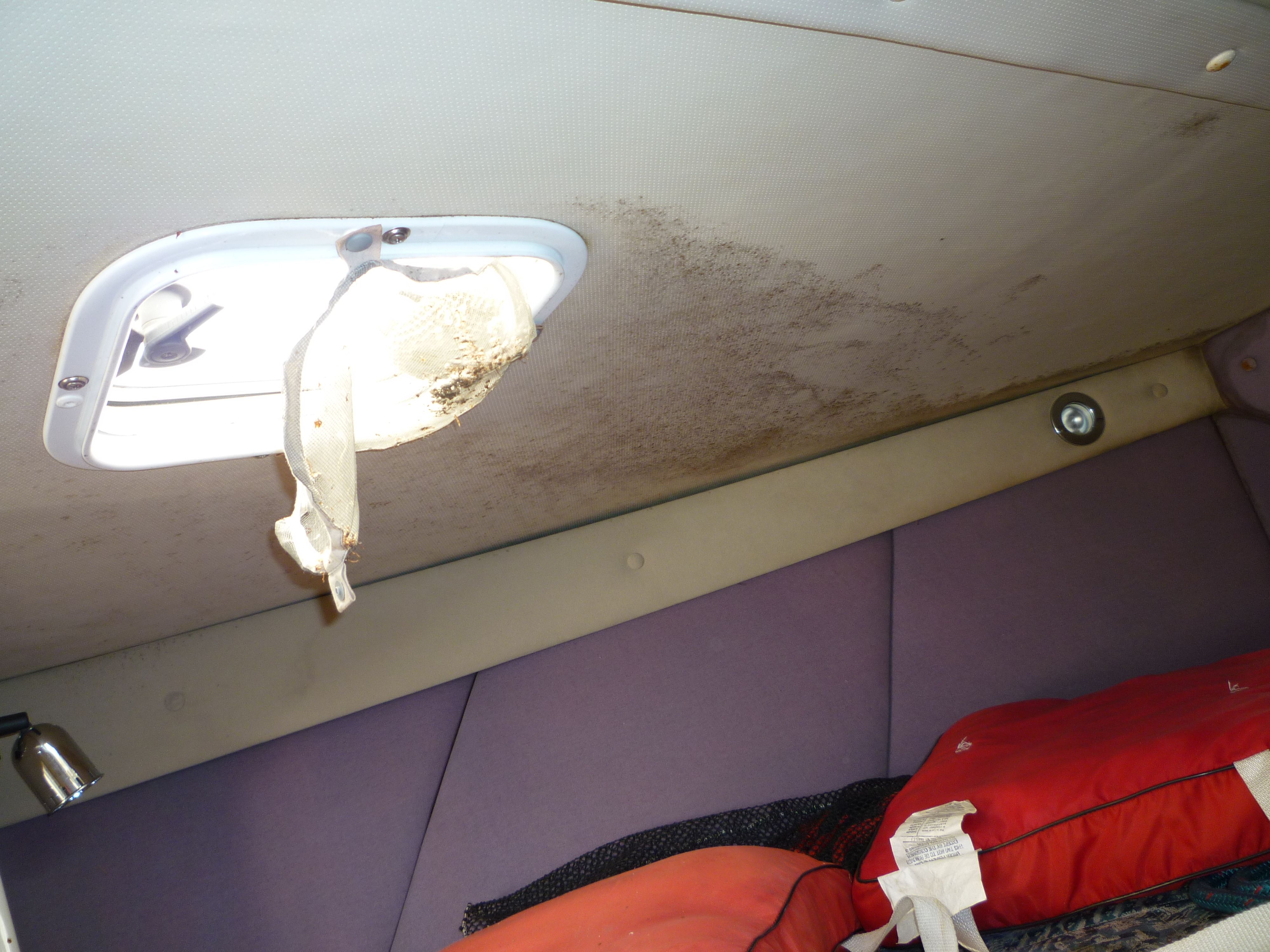 Moldy ceiling and damaged light in 2000 Velocity 280 interior cabin.