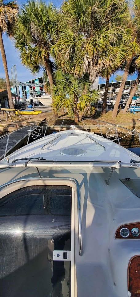 The boat is docked, surrounded by palm trees and buildings in the background.