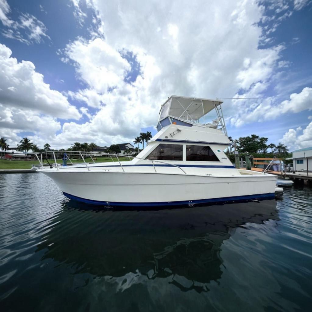 1986 Viking 35 Convertible