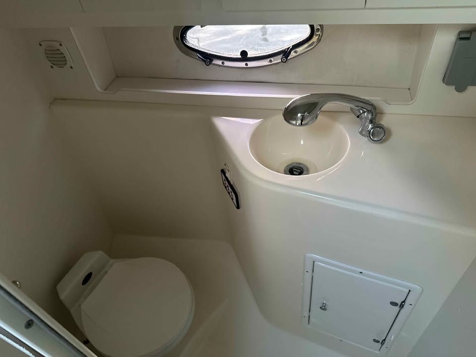 2001 Chris-Craft 308 Express Cruiser - 9