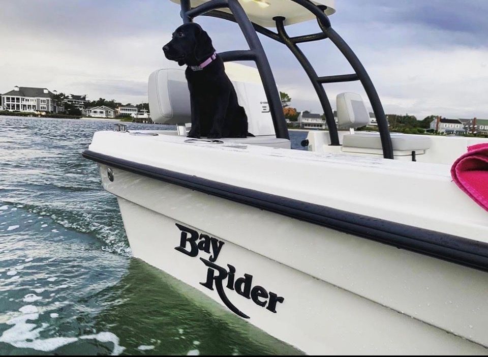 2020 Bay Rider 239 Bay - 8