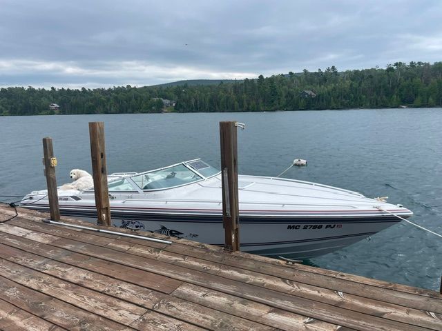 1992 Powerquest 270 Laser