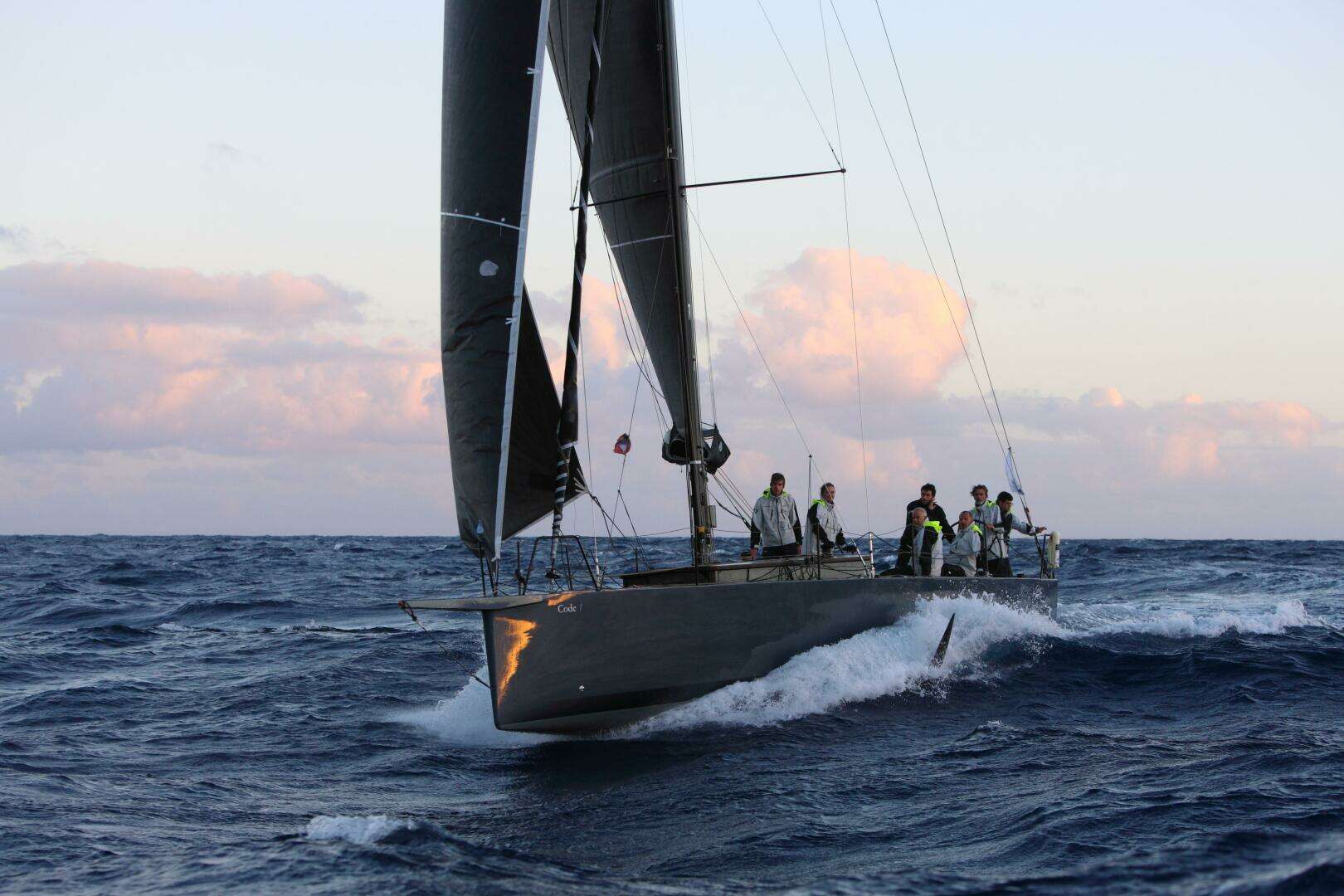 2026 Black Pepper Code 1 - Image 4