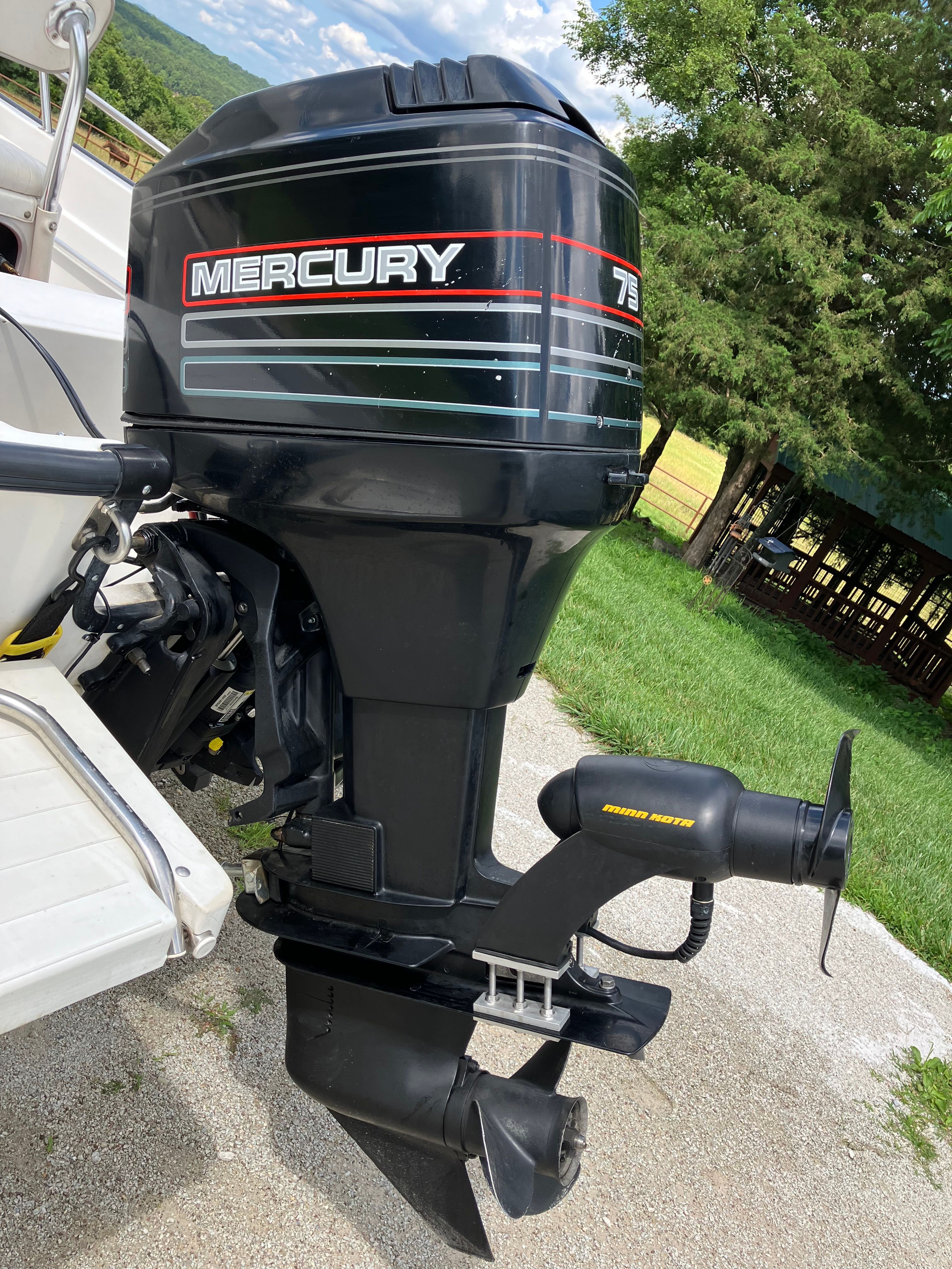 1995 Boston Whaler Dauntless 15 - 8