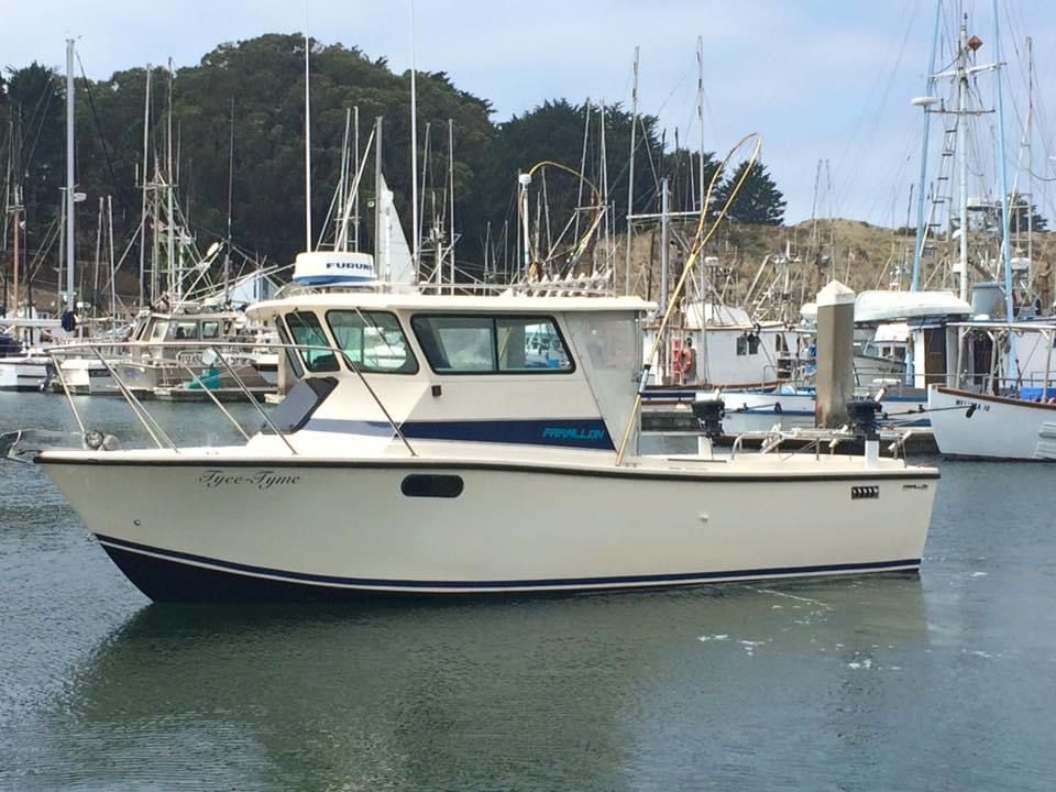1995 Farallon Whaleback