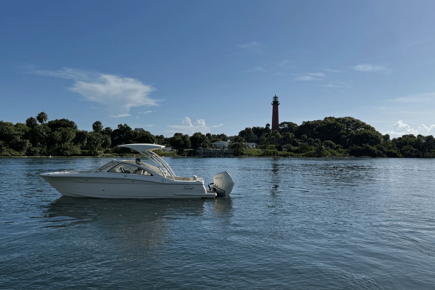 2025 Scout 240 Dorado