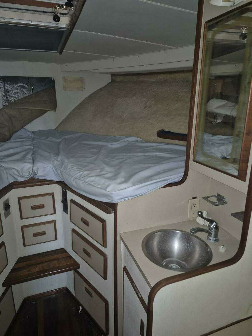 1982 Bertram 38 Convertible - Image 33