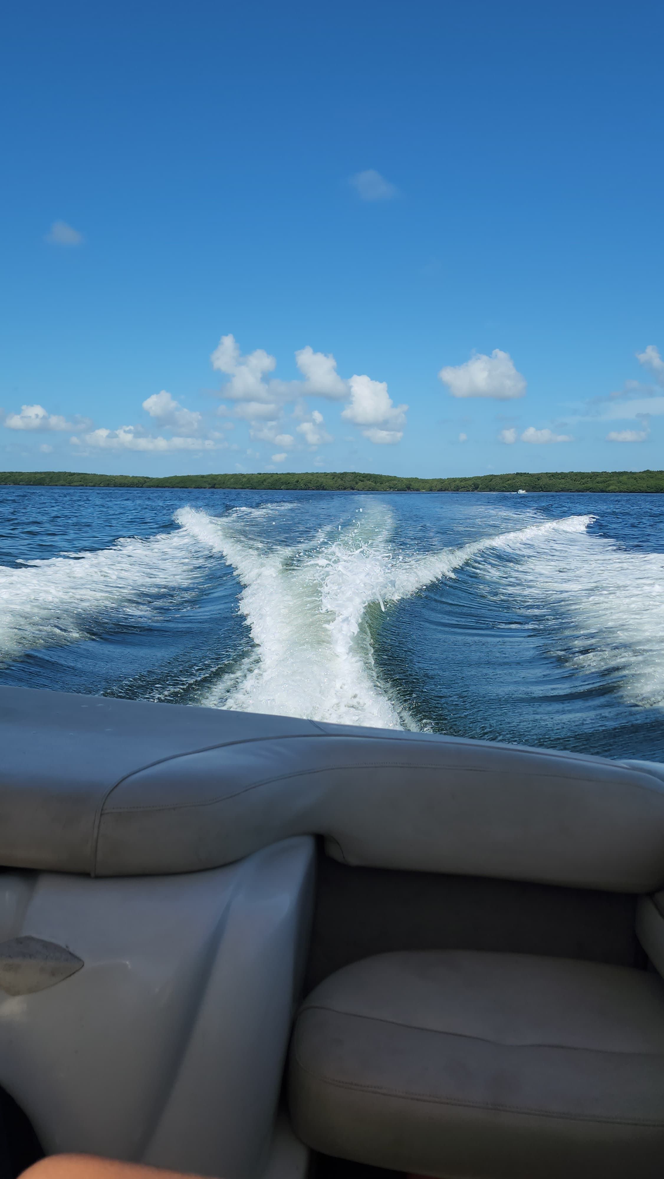 View from the back of a boat showing the wake trailing in the blue water.