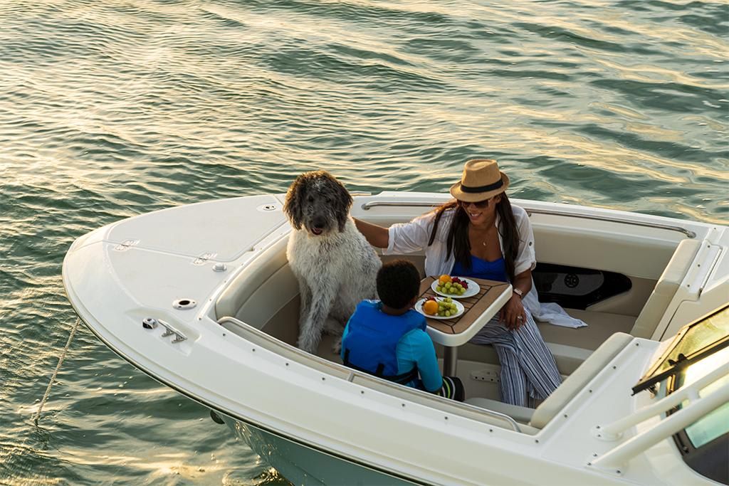 2023-Boston-Whaler-240-Vantage-MarineMax