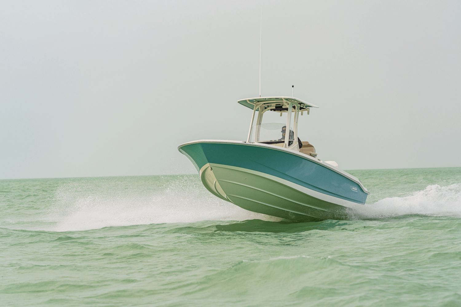 2026 Boston Whaler 250 Dauntless - 22