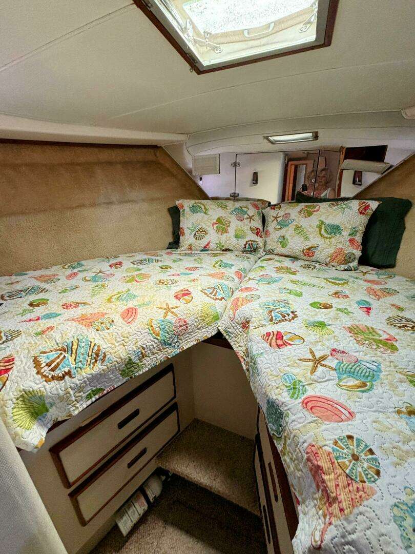 1977 Bertram 42 Motor Yacht - Image 38
