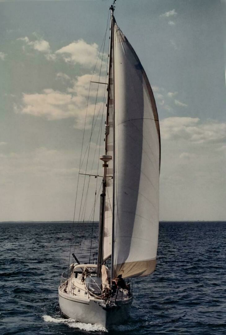 1988 Brewer Kaiulani - Image 50