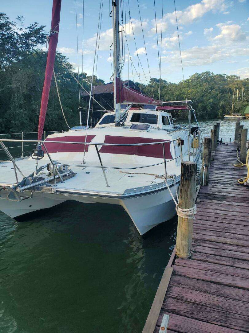 1994 Catalac 11 meter - Image 2