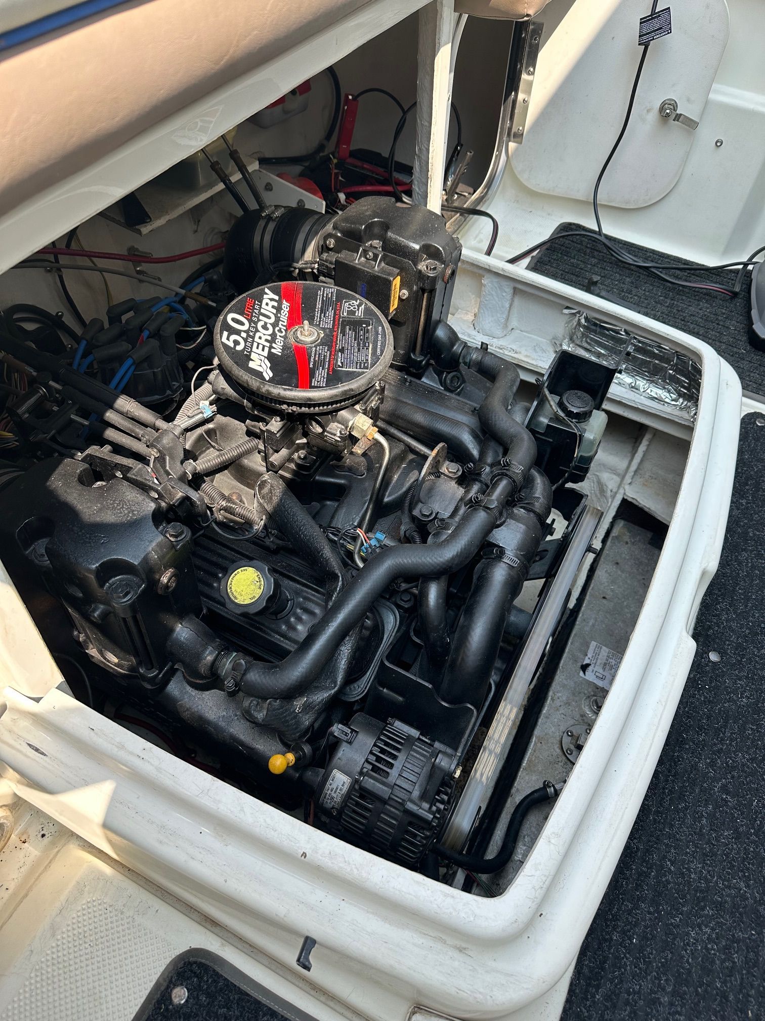 An open engine compartment of a Bayliner Sierra boat with a 5.0L MerCruiser engine.