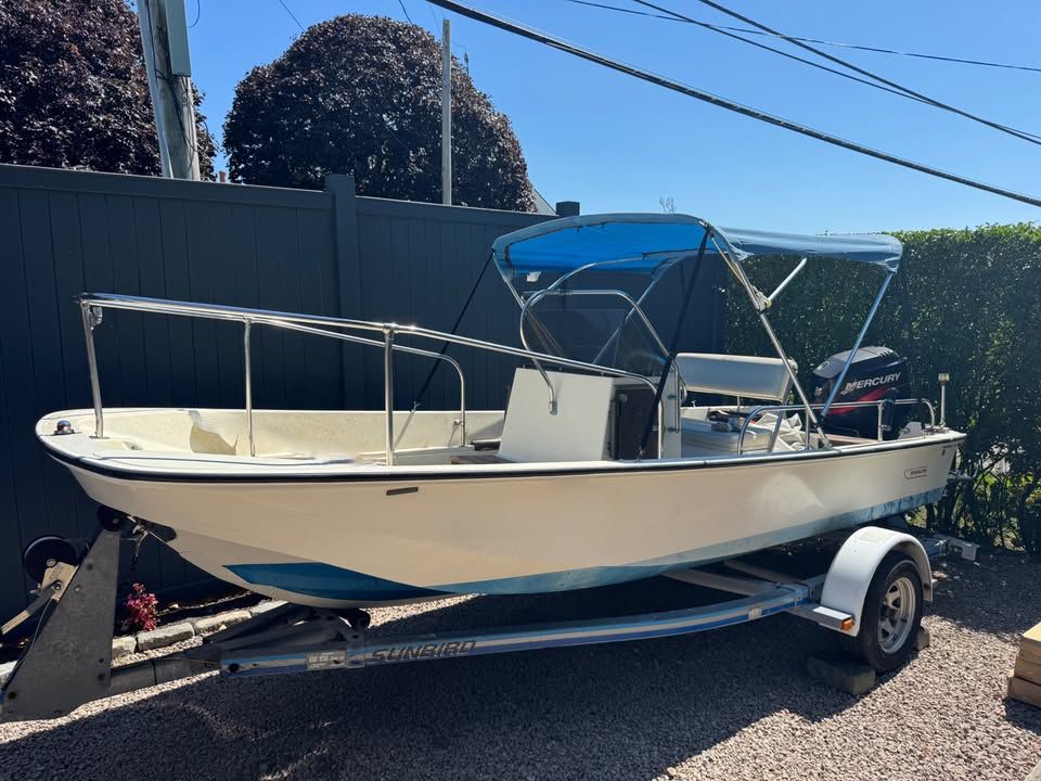 1976 Boston Whaler 17 Montauk