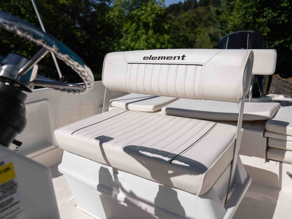2019 Bayliner Element F21 - 16